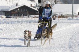 Lenk 2012 SM